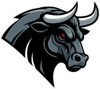 Birmingham Bulls