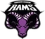 Yorkshire Academy Rams
