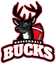Rossendale Bucks
